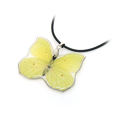 黄蝴蝶标本琥珀精品项链