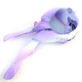 紫色小花帽两元流行方丝巾
