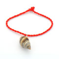 个性大链螺红绳手链 天然海螺饰品批发